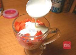 水果盆栽的做法图解5