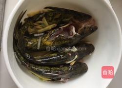 昂公鱼炖草鸡蛋的做法图解2
