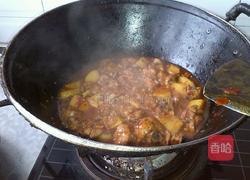 香辣鸡块炖土豆的做法图解9