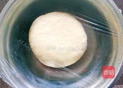 绣球馒头(两种制作方法)的做法图解4