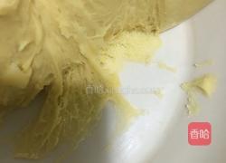 (普通面粉)豆沙面包的做法图解7