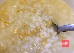 燕麦粥的做法图解4