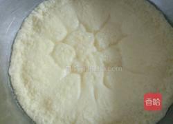 奶蛋羹的做法图解4