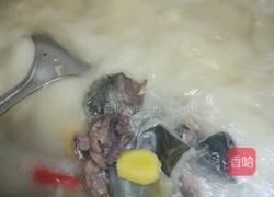 水鱼炖羊肉的做法图解9