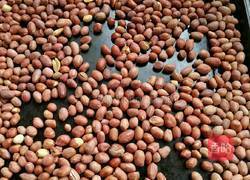 花生牛轧糖的做法图解2