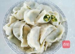 菠菜鸡蛋馅饺子的做法图解19