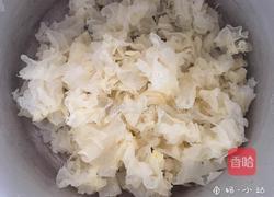 【红枣枸杞银耳羹】的做法图解4