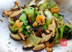 海米香菇油菜的做法图解16