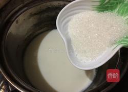 春风十里，不如木瓜牛奶冻的做法图解6
