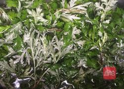 艾板的做法图解1