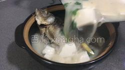 鲫鱼炖豆腐的做法图解27