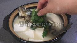 鲫鱼炖豆腐的做法图解28