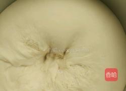 小面包（汉堡胚）的做法图解7