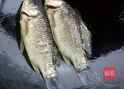 鲫鱼汤的做法图解4
