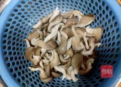 素炒蘑菇的做法图解3