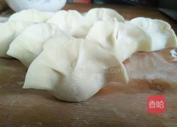 水饺三部曲之简易包法(二)的做法图解17