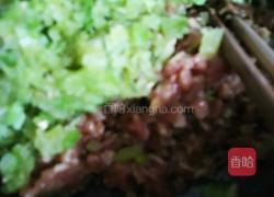 水饺三部曲之馅料制作（一）的做法图解9