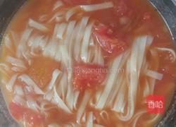 西红柿面条的做法图解6