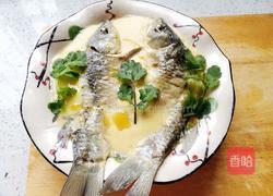 鲫鱼炖蛋的做法图解11