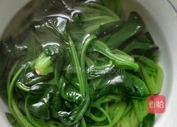 蚝油鲍波的做法图解3