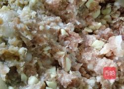 哈尔滨红肠 淀粉肠的做法图解1