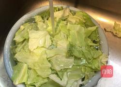 手撕包菜的做法图解2