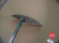 香浓玉米汁的做法图解5