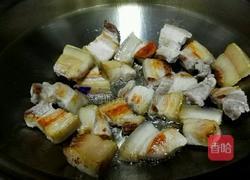 陈皮红烧肉的做法图解3