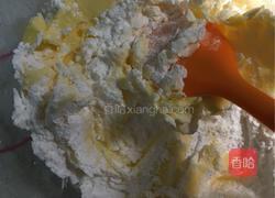 蔓越莓曲奇饼干的做法图解2