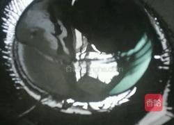 红烧排骨的做法图解3