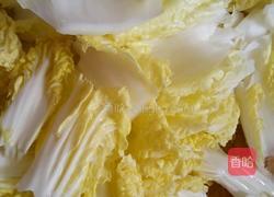 手撕白菜的做法图解1