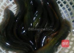 干煸泥鳅的做法图解1