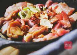 宫保鸡丁(无油 健康低脂)的做法图解13