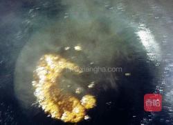 红烧牛腩萝卜的做法图解8