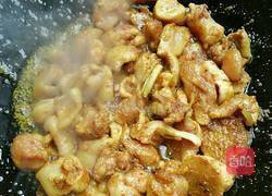 咖喱土豆鸡块的做法图解9