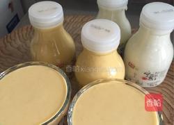 芒果奶昔的做法图解5