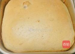 酸奶面包（面包机版）的做法图解4