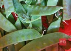 瘦肉炒荷兰豆的做法图解2