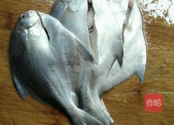 焖白鲳鱼的做法图解2
