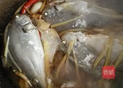 焖白鲳鱼的做法图解7