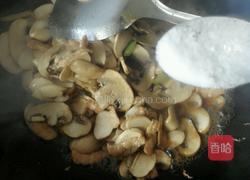 口蘑炒肉的做法图解8