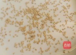 香煎紫薯饼的做法图解7