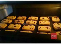 蔓越莓饼干的做法图解8