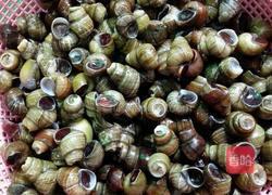 辣炒螺丝的做法图解2