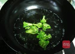 鲍鱼压土豆的做法图解8