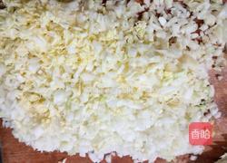 猪肉白菜馅水饺的做法图解3