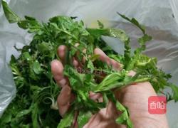 荠菜包子的做法图解1