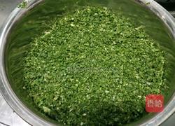 荠菜包子的做法图解2