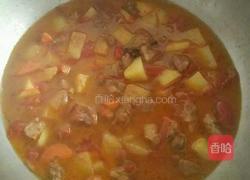 西红柿牛腩炖土豆的做法图解15