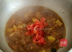 西红柿牛腩炖土豆的做法图解16